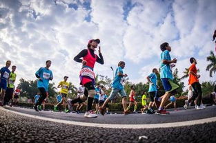 2019奔跑中國(guó)馬拉松賽歷發(fā)布 13項(xiàng)精選賽事引領(lǐng)全民健身熱潮